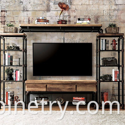 Industrial TV Unit